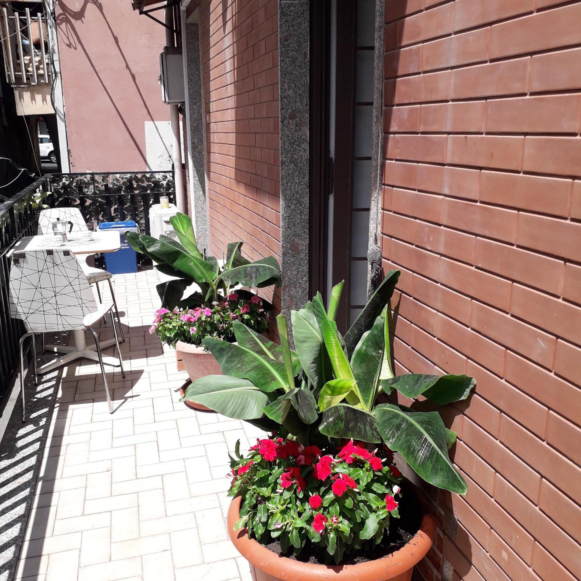 Le Case Del Cortile Catânia Exterior foto